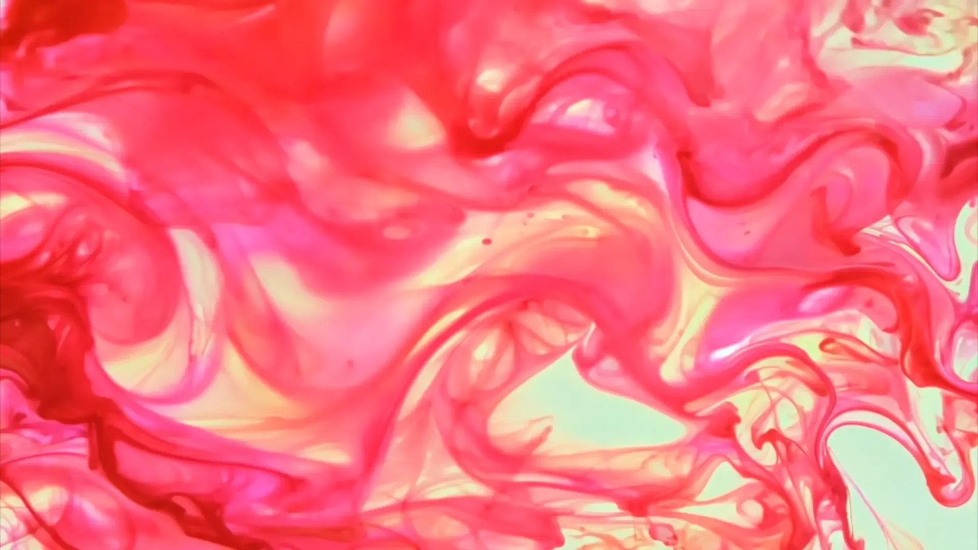 Vibrant Pink Fluid Swirl Transition for Creative Projects